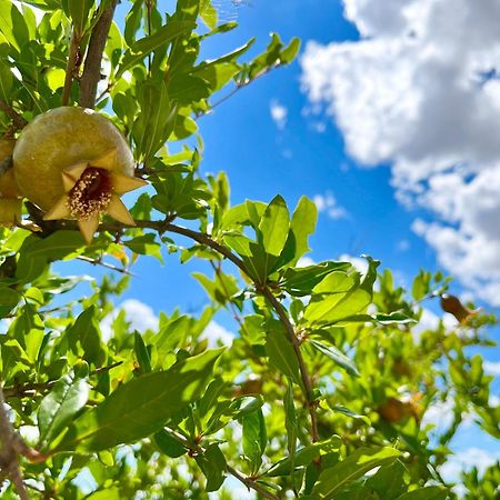 Апартаменти Podere Poggio Salto П'єнца Екстер'єр фото